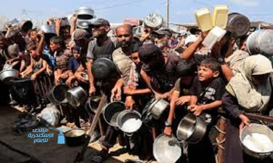 الهيئة الدولية لدعم فلسطين تؤكد المجاعة في غزة تكشف عن إدانة واضحة لإسرائيل