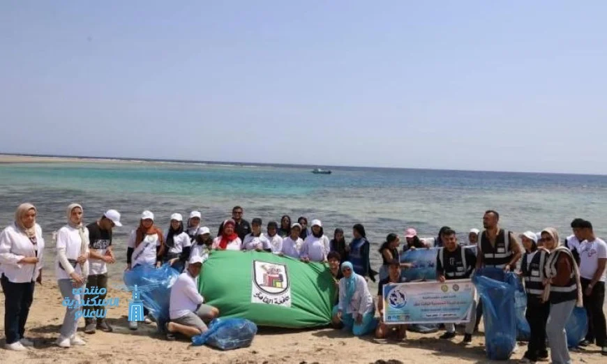 شباب منتدى البيئة الساحلية في الغردقة يقودون مبادرة لزراعة أشجار المانجروف وتنظيف الشواطئ