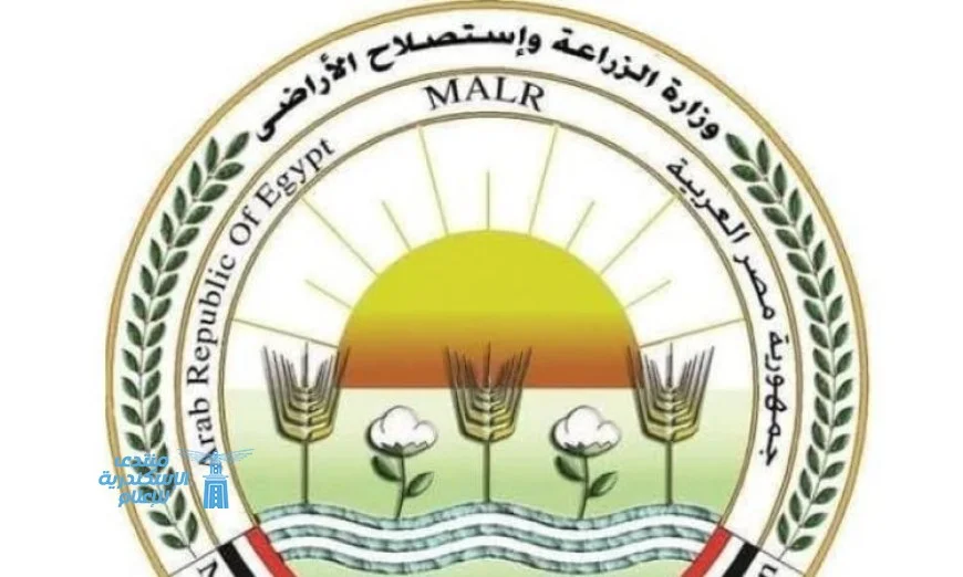 البحوث الزراعية يوضح: لا علاقة لنا بمنتجات زيت الزيتون المنتشرة على وسائل التواصل الاجتماعي