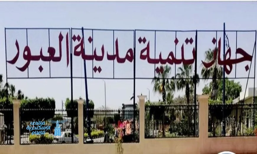 طرح محلات تجارية وصيدليات ومخابز للبيع في المزاد بـ 4 مدن جديدة بواسطة الإسكان