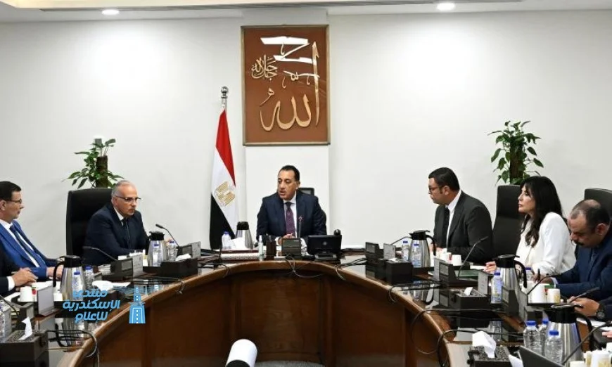 رئيس الوزراء يطلع على تطورات مشروع الدلتا الجديدةveliso