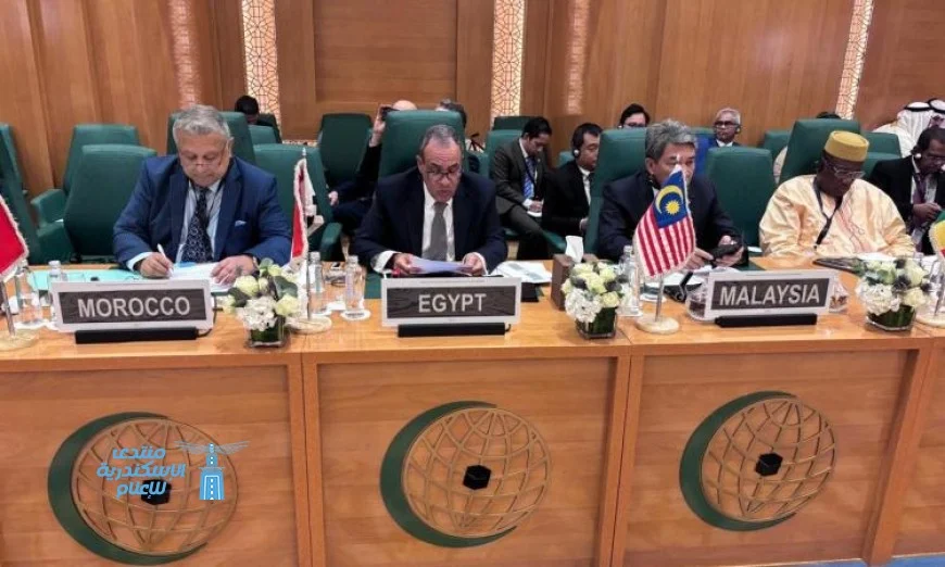 وزير الخارجية يحمل إسرائيل المسؤولية الكاملة لاستمرار الصراع في غزة