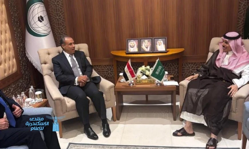 تعزيز العلاقات بين السعودية ومصر: وزير الخارجية السعودي ونظيره المصري يشيدان بالتقدم المتصاعد