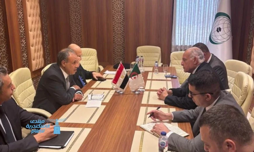 مصر والجزائر تعقدان مباحثات مهمة في جدة لتعزيز العلاقات الثنائية ومناقشة المستجدات الإقليمية
