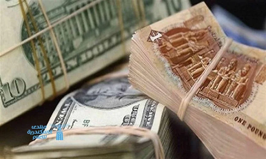 تعرّف على سعر الدولار مقابل الجنيه المصري في البنك المركزي