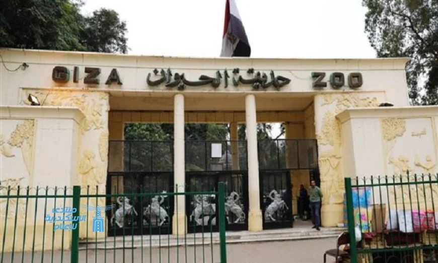 تحالف تطوير حديقتي الحيوان والأورمان يستعين بأفضل الخبرات في الرعاية البيطرية