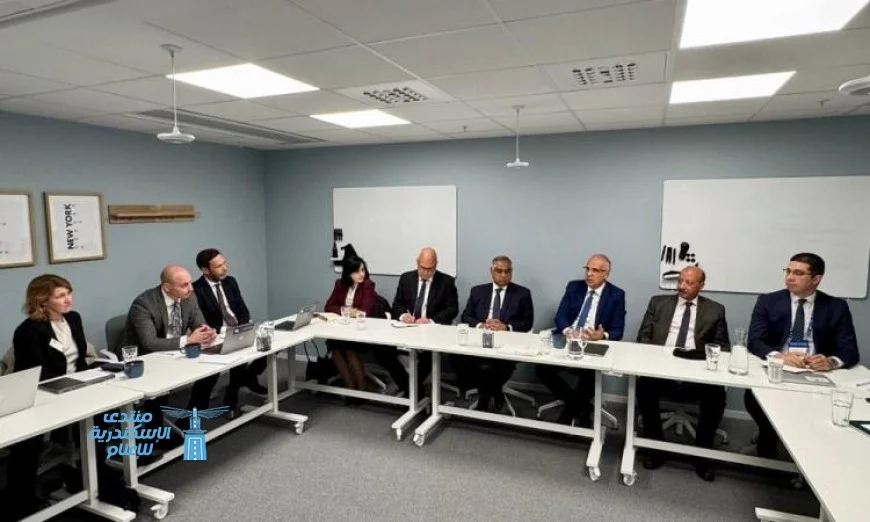 وزير الري يشدد على أهمية تبادل الخبرات التكنولوجية مع مجلس الاستثمار السويدي
