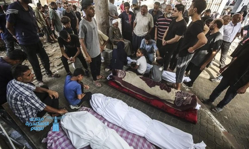 إصابة 37 فلسطينيا في اقتحام عنيف لقوات الاحتلال الإسرائيلي لمدينة نابلس