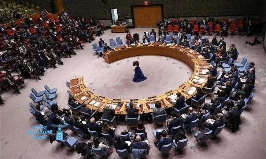 مجلس الأمن يقدم إحاطته الشهرية المفتوحة حول آخر التطورات في فلسطين والشرق الأوسط