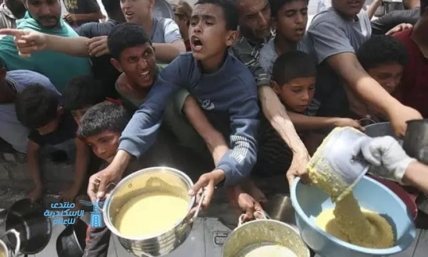 هيئة حقوقية دولية تكشف: 1.1 مليون فلسطيني يعيشون في حصار داخل مساحة صغيرة لا تتجاوز 25 كم