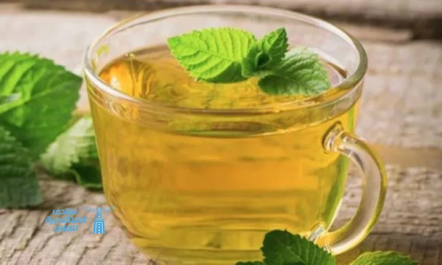 فوائد الشاي الأخضر: سر الحياة الأطول والعيش بصحة أفضل