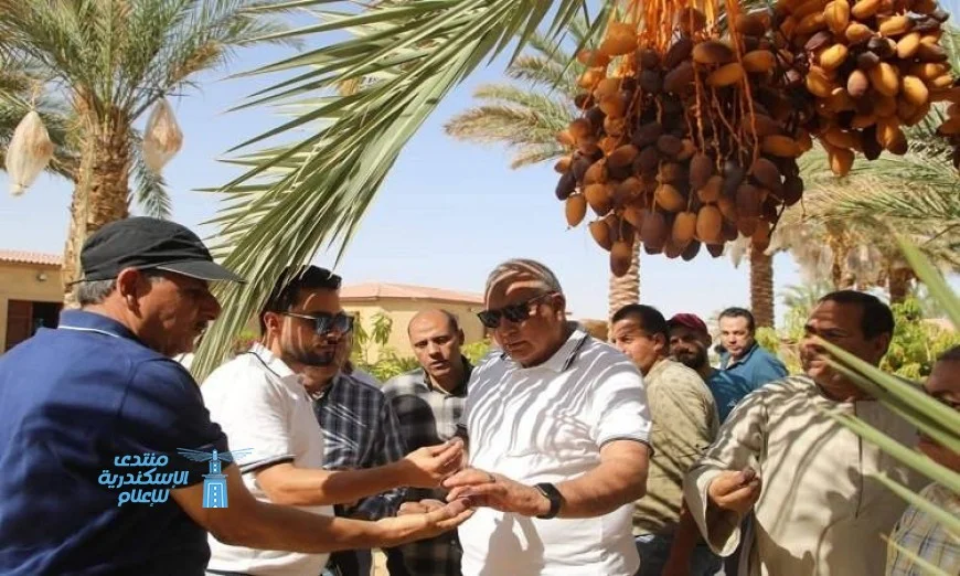 محافظ الوادي الجديد يتابع تطوير مشروعات التمور الممتازة في الفرافرة