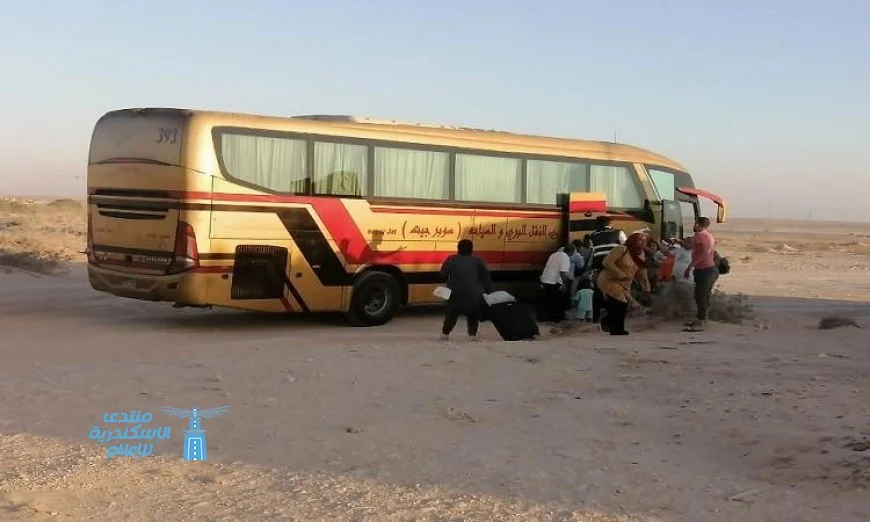 النقل تعلن تشغيل 14 أتوبيس لنقل الركاب بعد حادث قطار مطروح