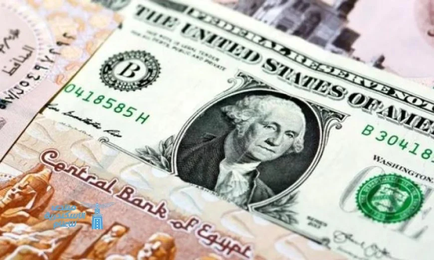 أسعار الدولار اليوم مقابل الجنيه المصري في السوق الصباحية