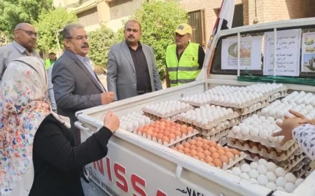 الزراعة تطلق مبادرة لبيع بيض المائدة بأسعار مخفضة عبر 6 منافذ متنقلة في القاهرة والجيزة