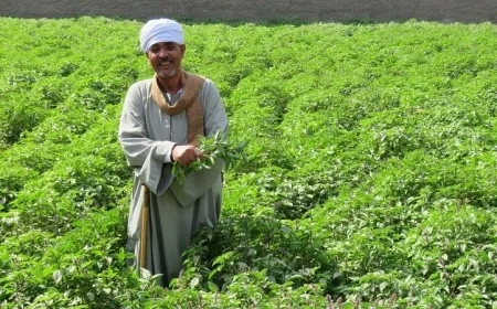 100 ندوة إرشادية من البحوث الزراعية لتعزيز المشروعات الريفية في مصر