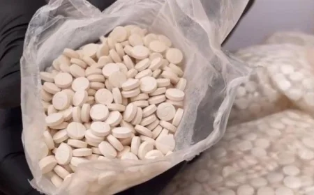 أمن المنافذ يكشف عن ضبط 49 قضية متنوعة في 24 ساعة فقط