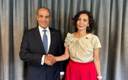 عبد العاطي يناقش مع المفوضة الأوروبية تعزيز العلاقات الثنائية وتطورات المنطقة