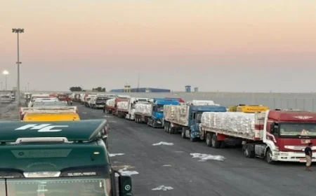 انطلاق القافلة الإنسانية الـ28 من مصر إلى غزة لتعزيز الدعم والمساندة