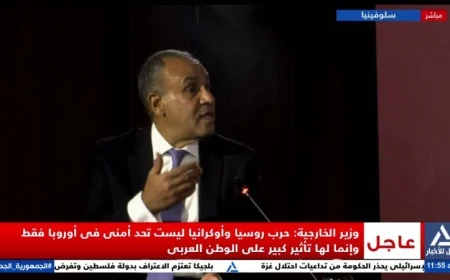 وزير الخارجية: العالم يتجاهل الإبادة الجماعية في غزة