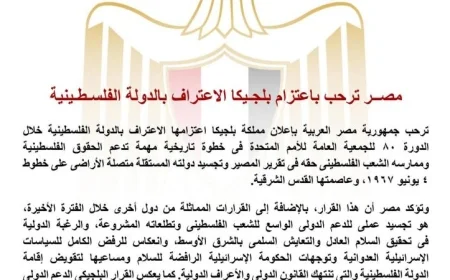 مصر تحتفي بخطوة بلجيكا للاعتراف بالدولة الفلسطينية