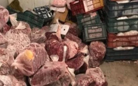 ضبط 372 طنًا من اللحوم والدواجن والأسماك الفاسدة في أغسطس الماضي
