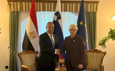 وزير الخارجية يبعث برسالة تحية من الرئيس السيسي إلى رئيسة سلوفينيا