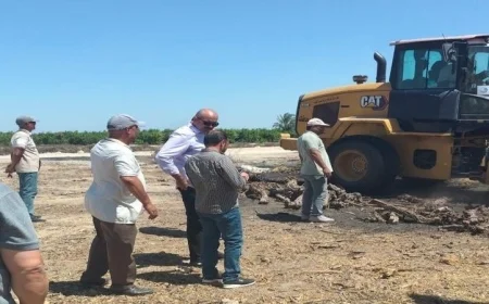 مبادرة يوم الهواء النظيف في البحيرة: تعزيز جهود تحسين جودة البيئة بشكل مكثف