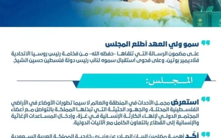 مجلس الوزراء السعودي يناقش تطورات الأوضاع في فلسطين ويعزز جهود إيصال المساعدات لغزة