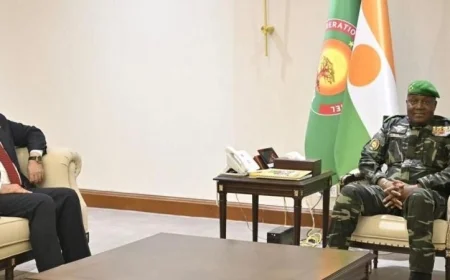 الرئيس النيجيري يشيد بقوة العلاقات الثنائية المزدهرة مع مصر