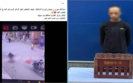 تفاصيل جديدة حول فيديو اعتداء شخص على سيدة مسنة وتحقيقات تكشف الحقائق كاملة