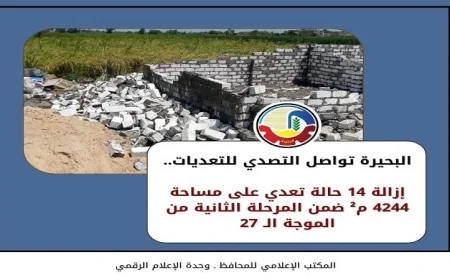 الجهود المكثفة للأجهزة التنفيذية في البحيرة لإزالة التعديات من مهدها