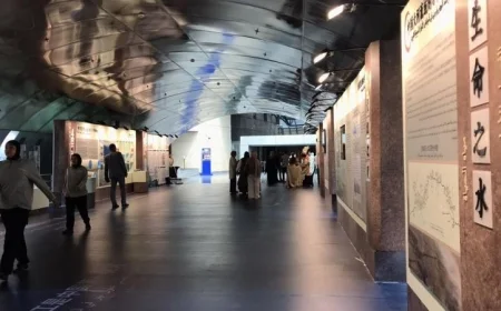 فيديو يجمع بين النيل واليانغتسي في جسر ثقافي مميز بين مصر والصين بمتحف الحضارة