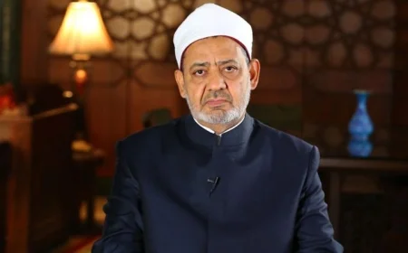 شيخ الأزهر يؤكد: التضامن العربي والإسلامي هو الحل الوحيد لدعم القضية الفلسطينية