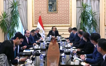 رئيس الوزراء يعقد اجتماعًا هامًا مع رئيس شركة إيليت سولار الصينية