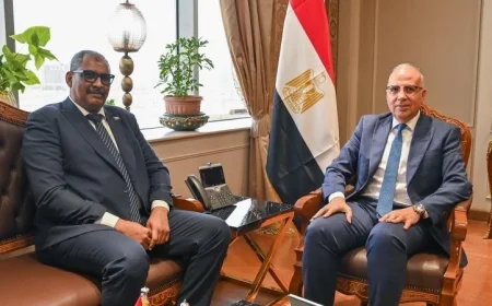 وزير الري يؤكد حرص الحكومة على تعزيز التعاون مع السودان في جميع المجالات وبالأخص المياه