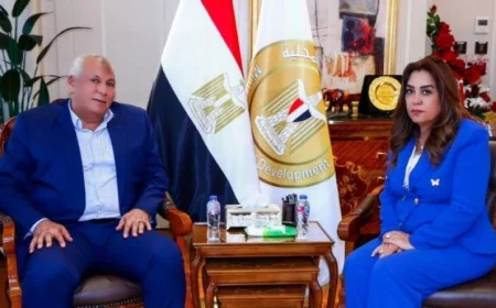 وزيرة التنمية تناقش تنفيذ المشروعات مع محافظ الوادي الجديد