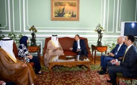 وزير الخارجية يلتقي بنظيره البحريني لبحث تعزيز التعاون المشترك بين البلدين