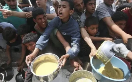 ارتفاع عدد ضحايا سوء التغذية في غزة إلى 370 شهيدًا بعد سقوط 3 شهداء جدد جراء المجاعة