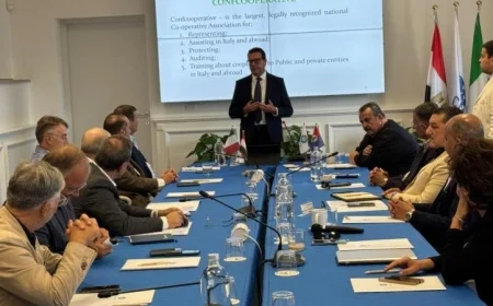 فاروق وفوزي: دور التعاونيات الزراعية في تحقيق الأمن الغذائي وتوفير الاستدامة