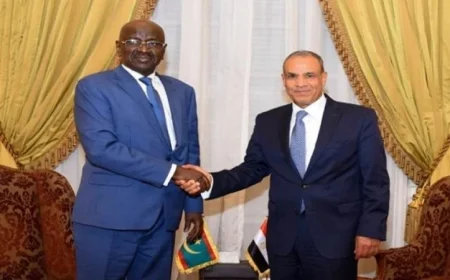 وزير الخارجية يعقد اجتماعًا مع نظيره الموريتاني للمطالبة بوقف العدوان على غزة