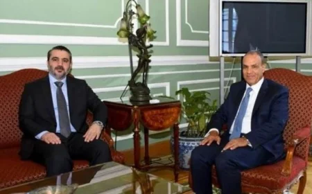 دعم مصر لوحدة وسيادة سوريا: وزير الخارجية يؤكد التزامه للشيباني بتعزيز المؤسسات الوطنية السورية