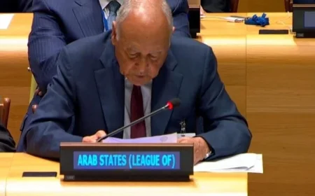 أبوالغيط يعلن اتفاقاً عربياً لوقف حرب الإبادة بشكل عاجل