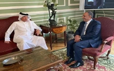 مصر وقطر تتعهدان بتعزيز التعاون لوقف العدوان الإسرائيلي على غزة