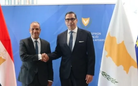 اجتماع وزير الخارجية مع نظيره القبرصي لتعزيز المشاورات السياسية