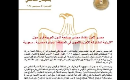 مصر تشيد بتبني الجامعة العربية قرار رؤية موحدة لأمن المنطقة