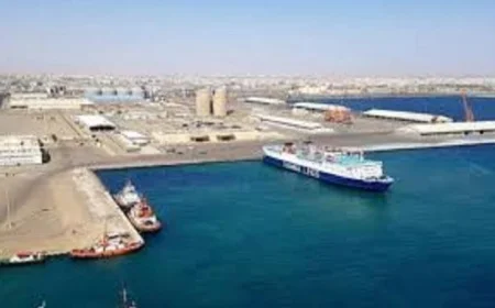 ميناء نويبع البحري يشهد تداول 5100 طن بضائع و405 شاحنات يومياً