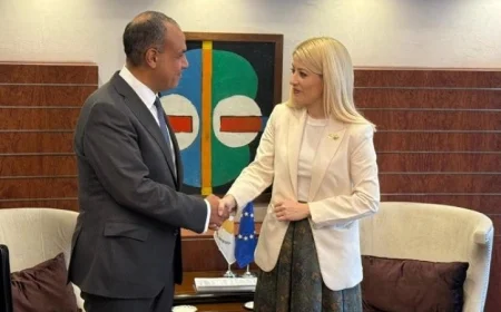 لقاء هام بين وزير الخارجية ورئيسة مجلس النواب القبرصية لتعزيز العلاقات الثنائية