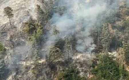 تأثير مدمر لحرائق الغابات على جودة الهواء يصل لآلاف الكيلومترات بعيداً عن مركز النيران