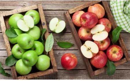 دراسة تكشف أهمية تناول التفاح لتحسين وظائف الدماغ